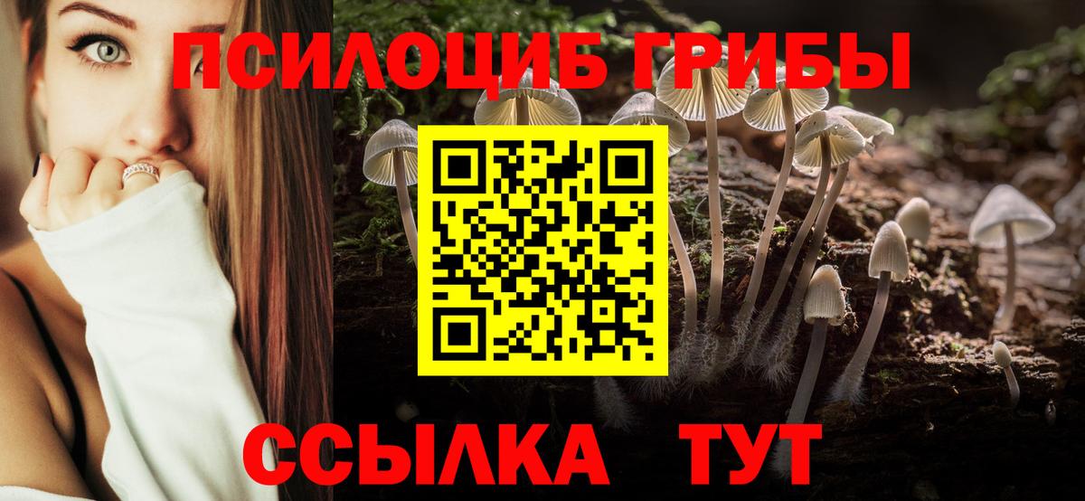 Топки  Псилоцибиновые грибы ЛСД  Вход с VPN 
